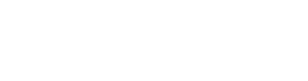 Haas F1 Team